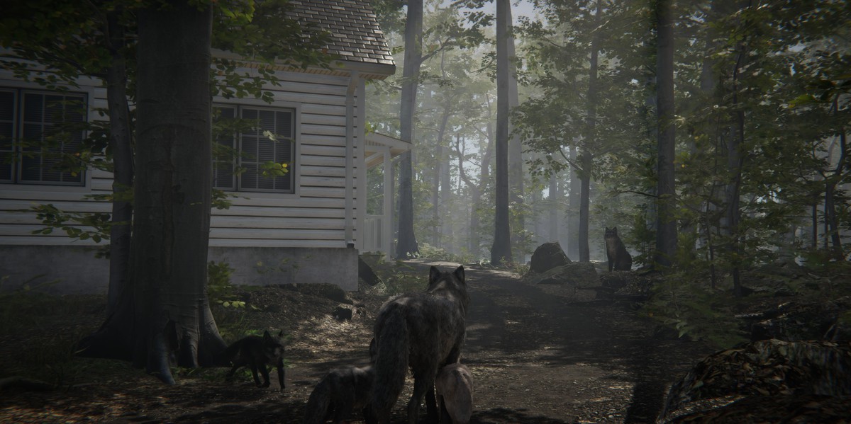 Realistic Wolf