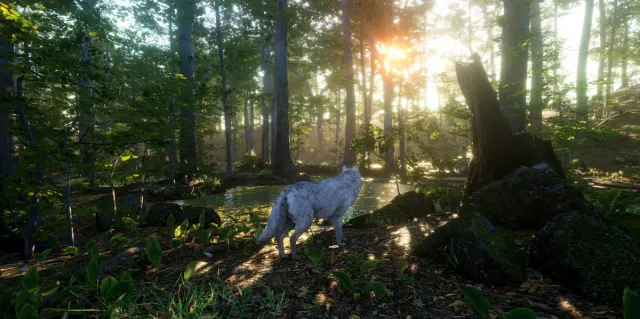 Realistic Wolf
