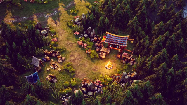 Top Down - Fantasy Forest
