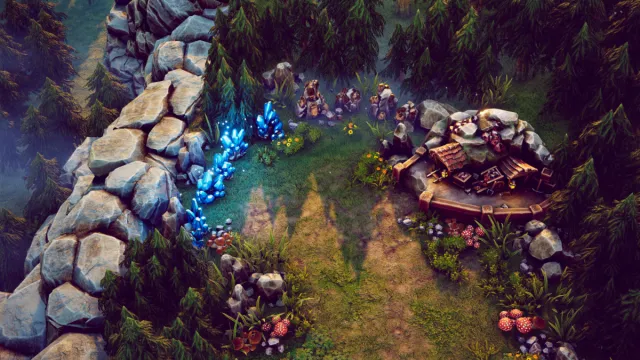 Top Down - Fantasy Forest