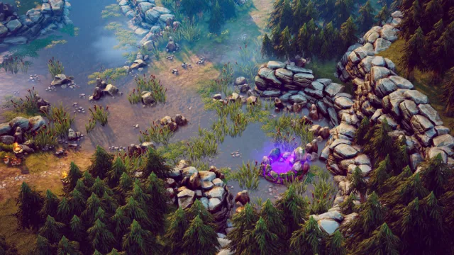 Top Down - Fantasy Forest